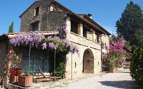 La Casa di Ray - Passignano sul Trasimeno (Perugia) Italy